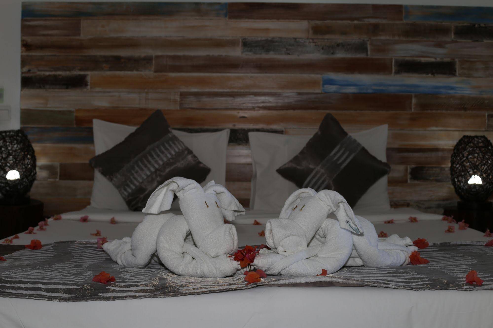 Guest House & Restaurant Stella Rina