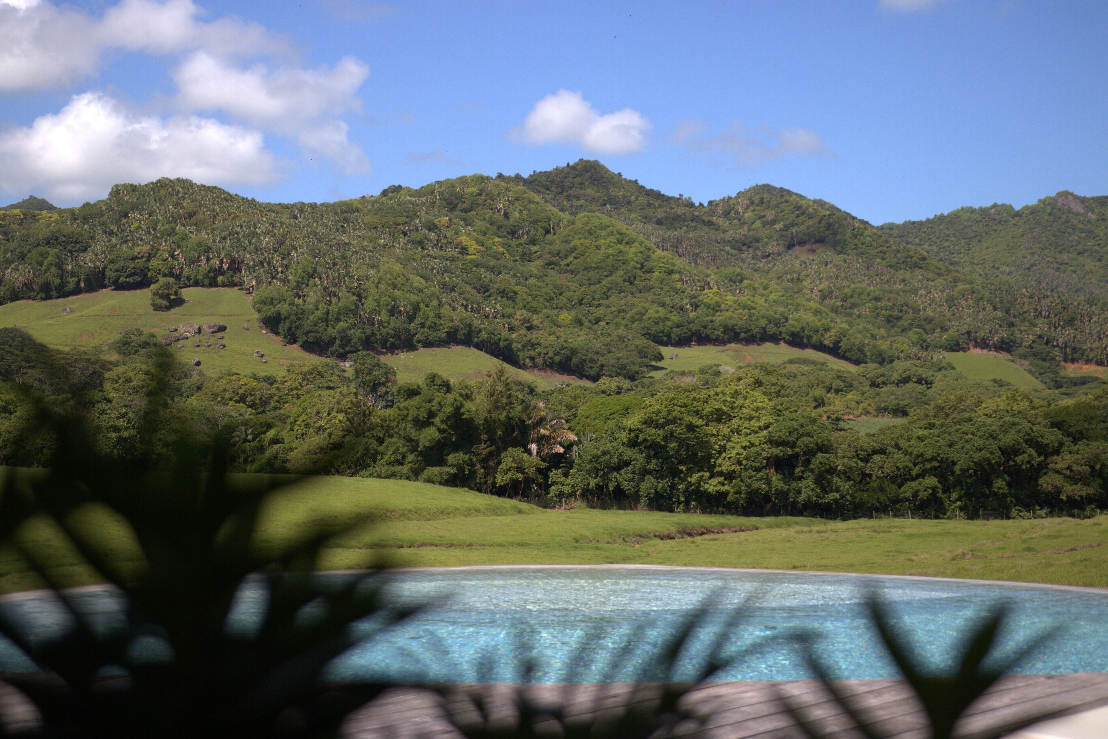 Ferney Nature Lodge