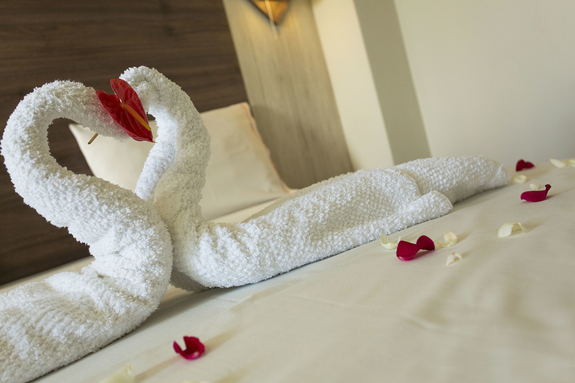 ONS Motel - Guest House