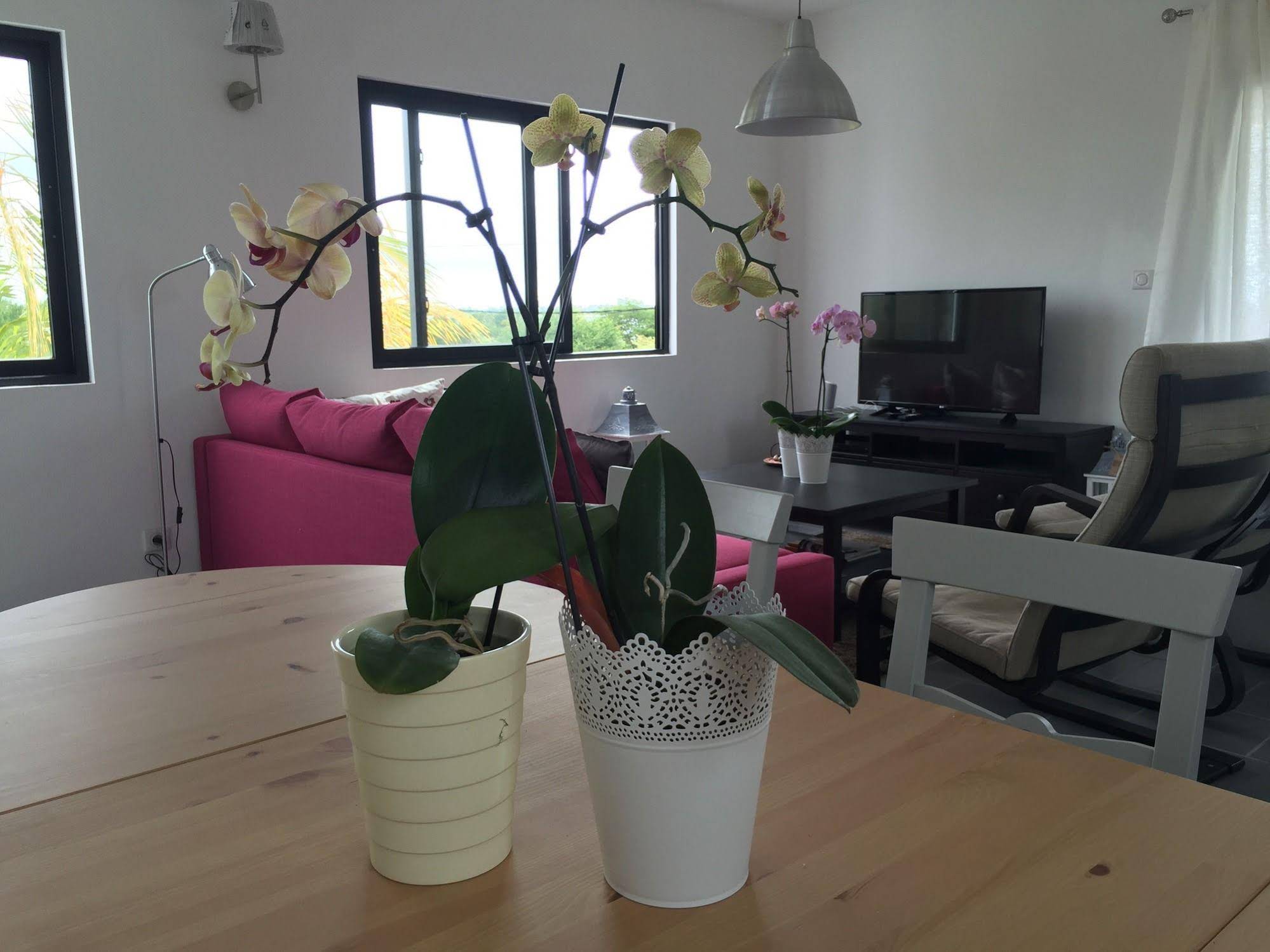 Residence Les Alizes