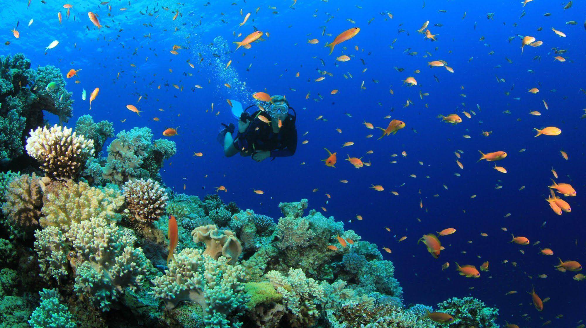 Equa Reef Maldives