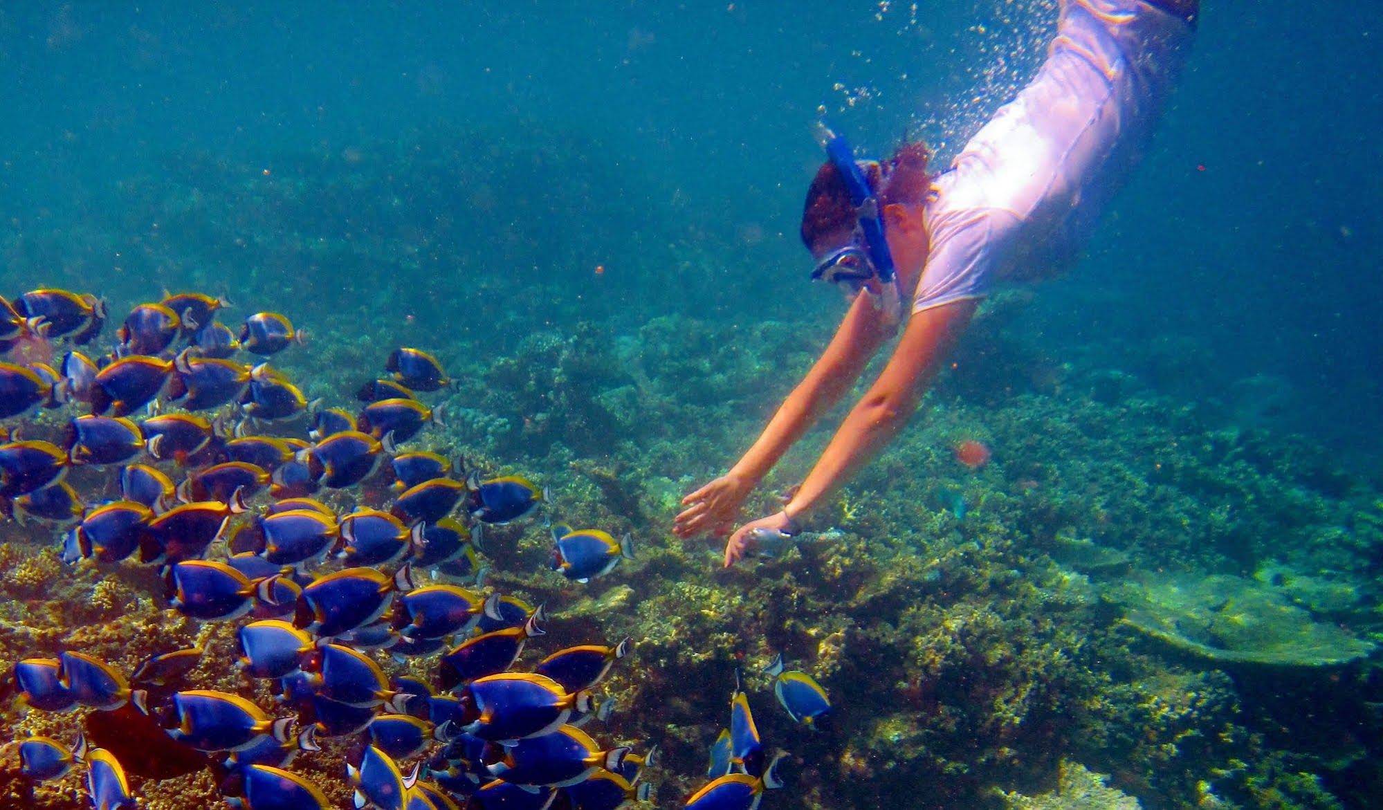 Equa Reef Maldives