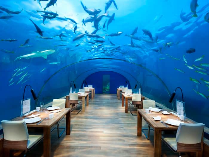 Tauchbasis -  Ocean Dive Centre Conrad Maldives Rangali