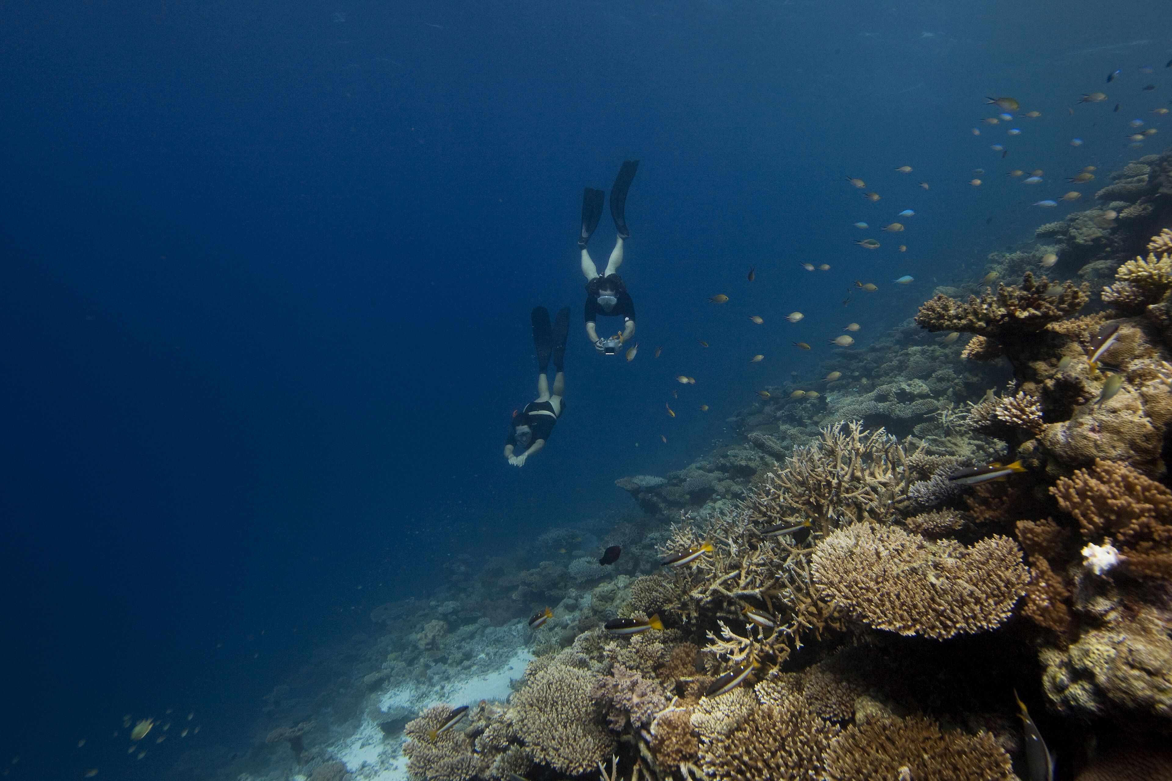 Soneva Fushi
