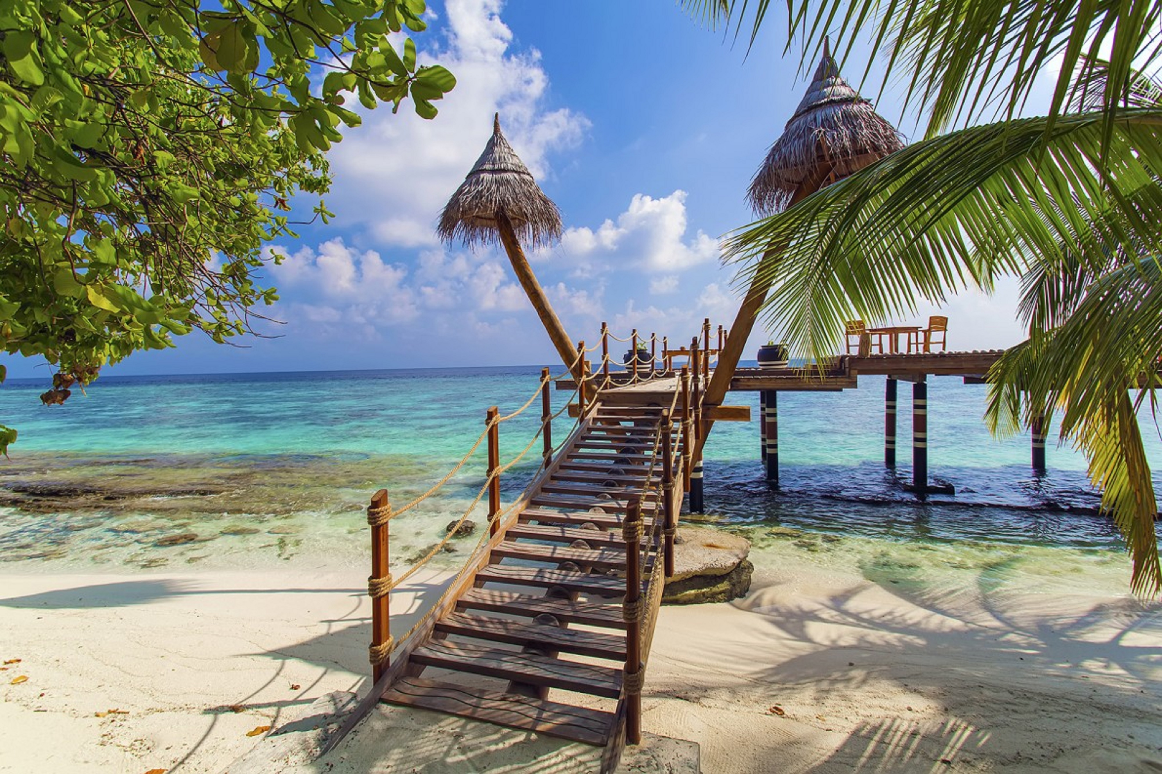 aaaVeee Natures Paradise