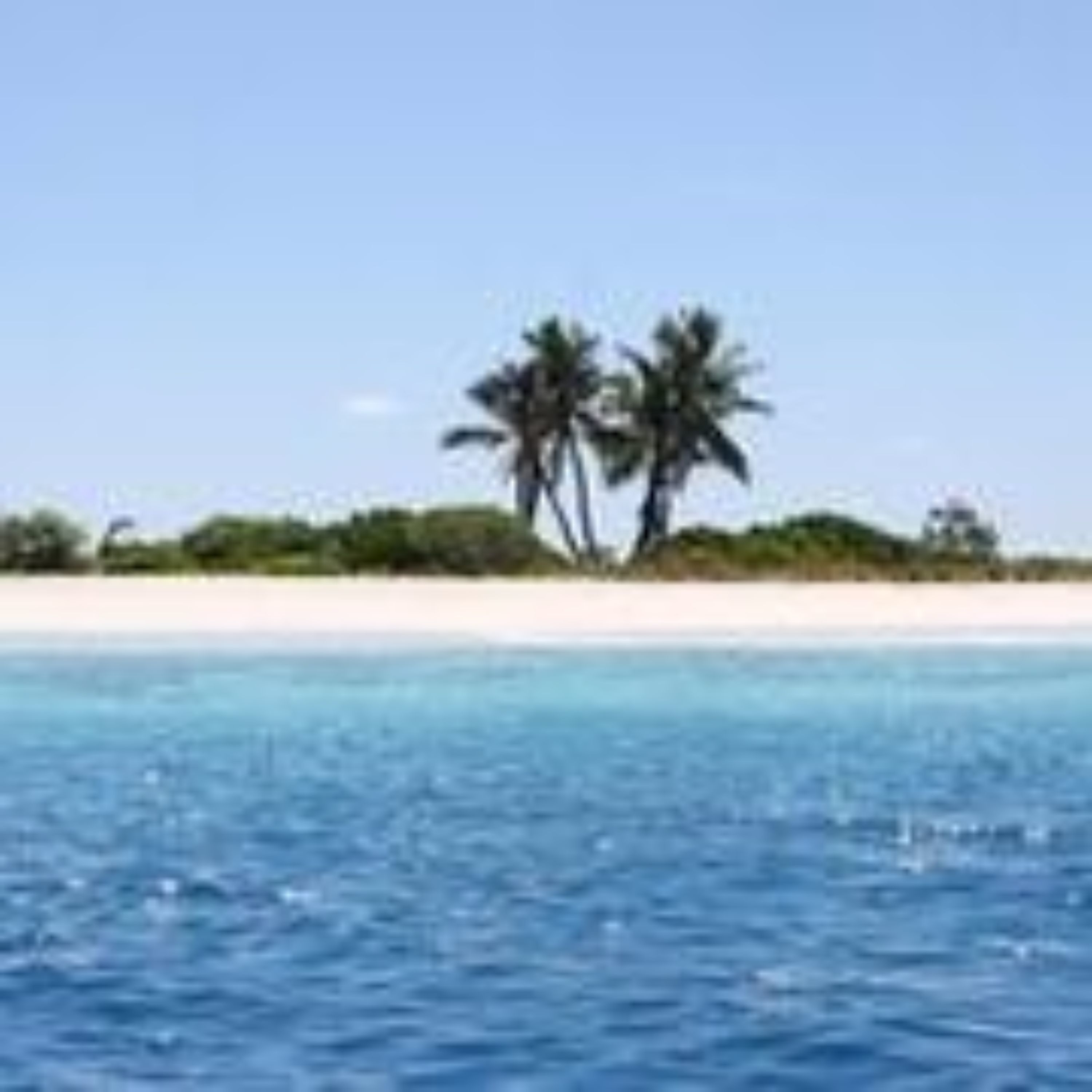 Pearl Beach View