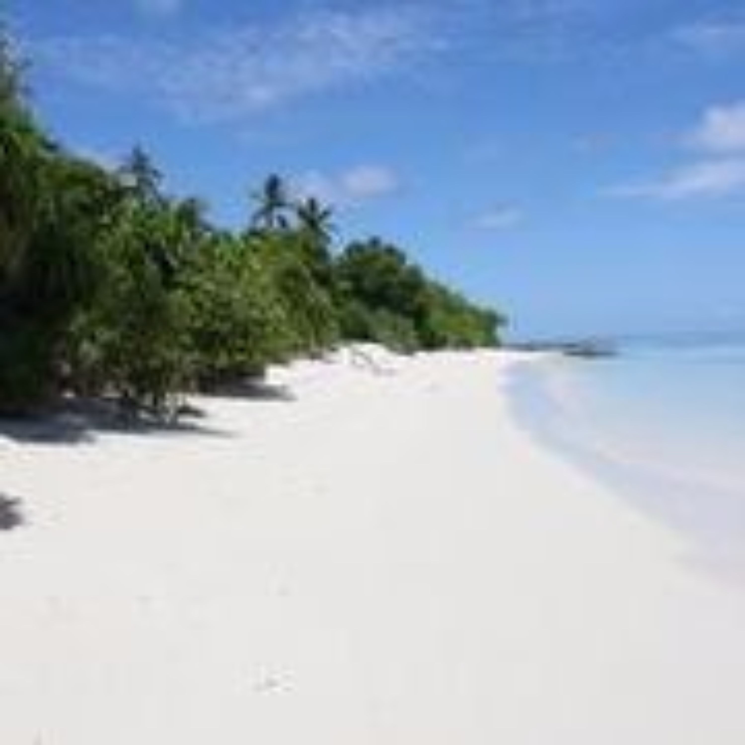 Pearl Beach View
