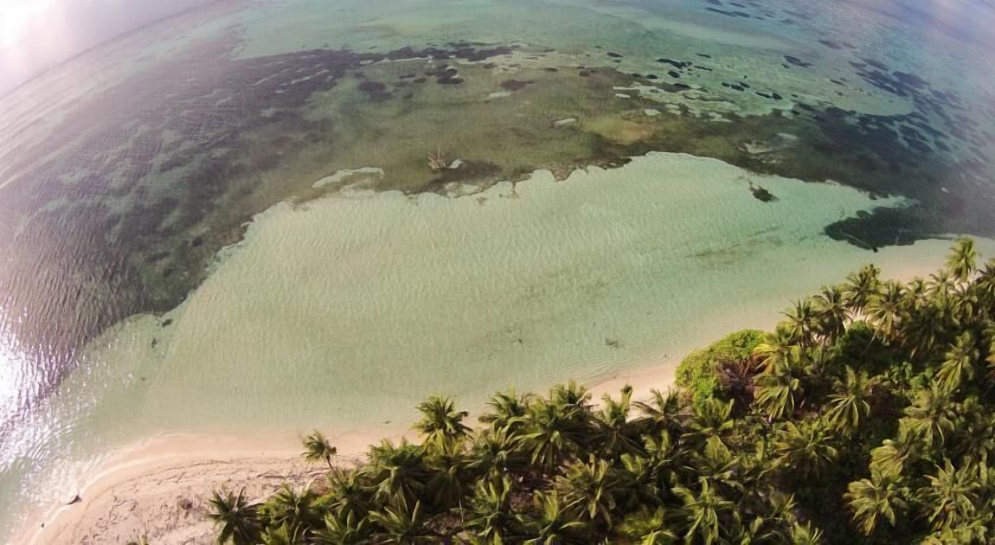 Pearl Beach View