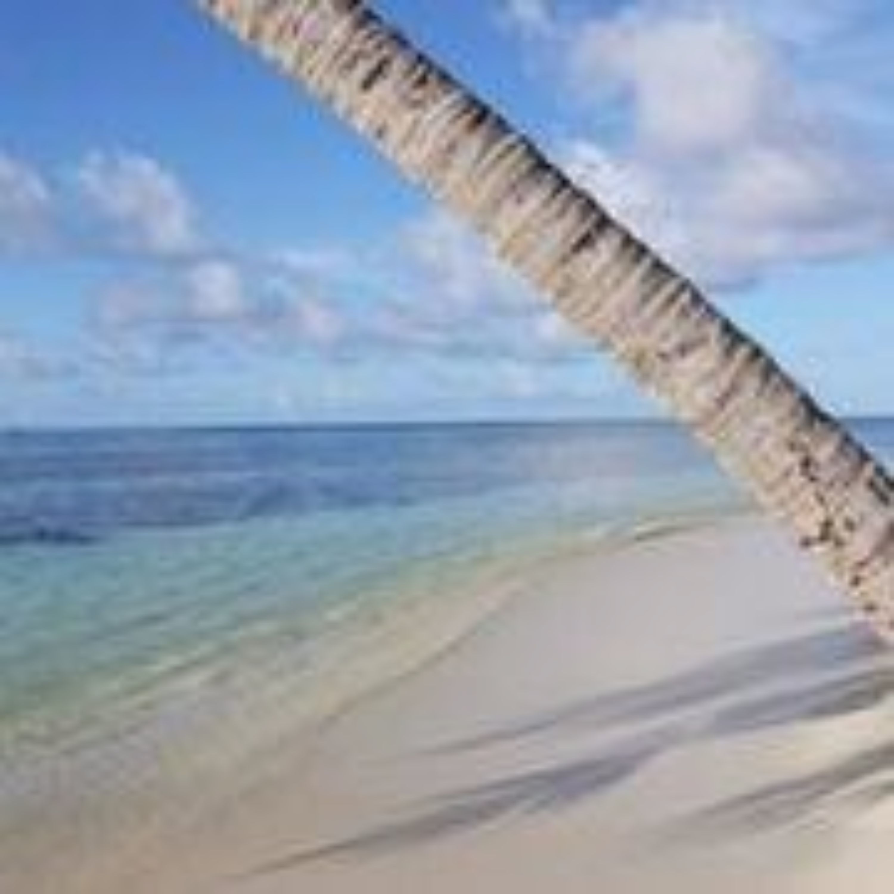 Pearl Beach View