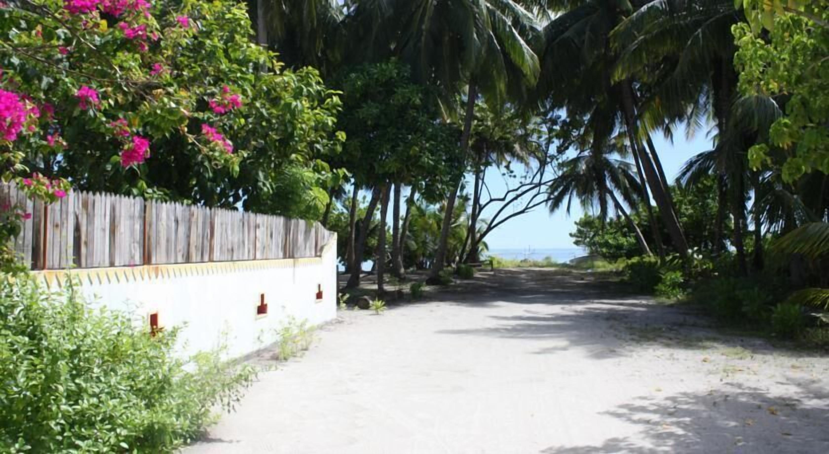 Pearl Beach View