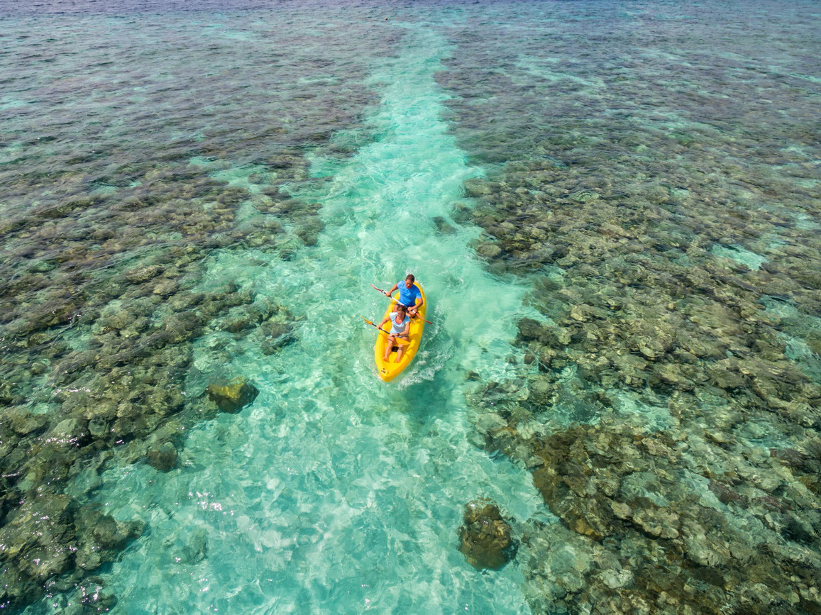 Plumeria Maldives