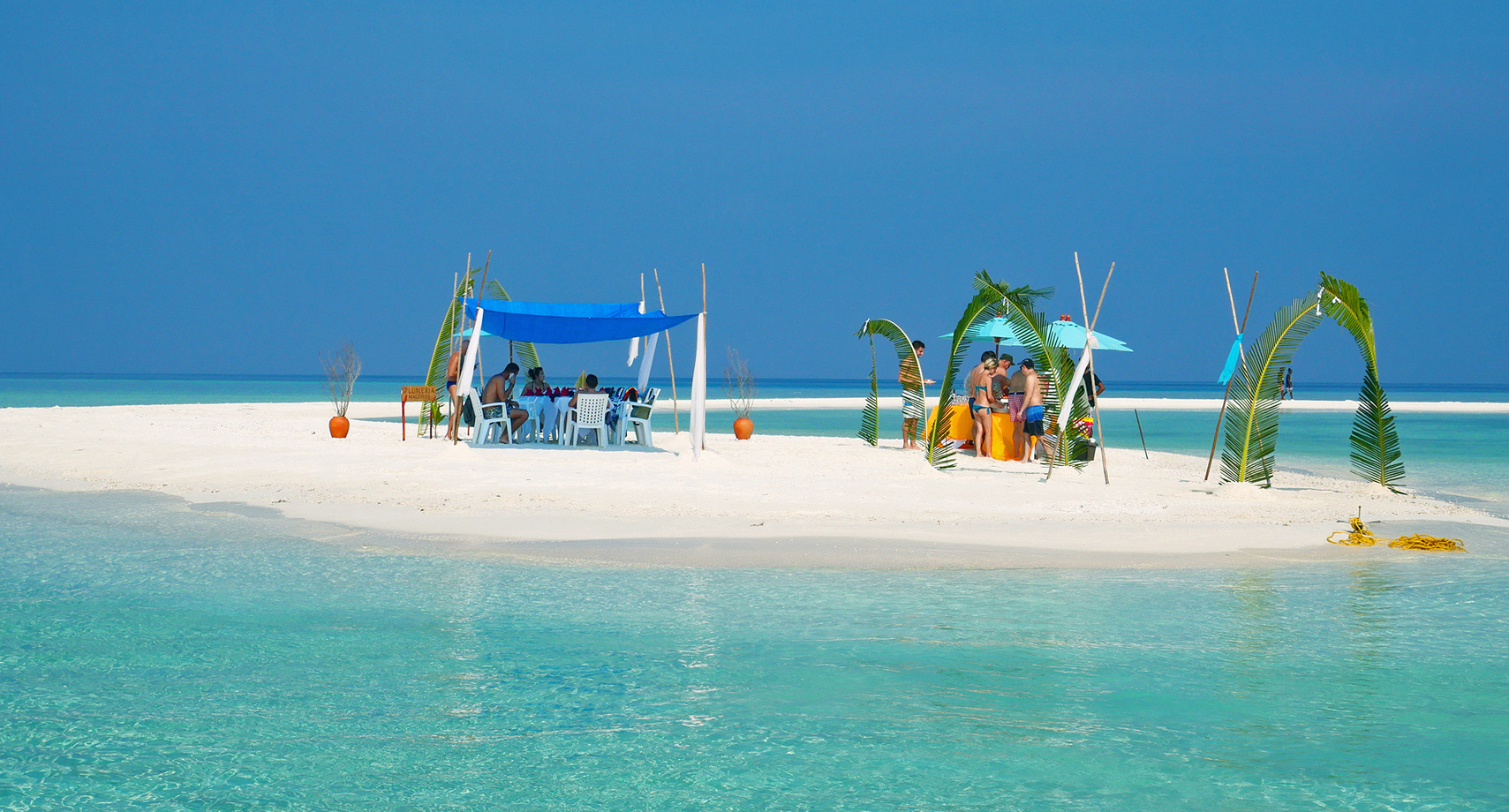 Plumeria Maldives