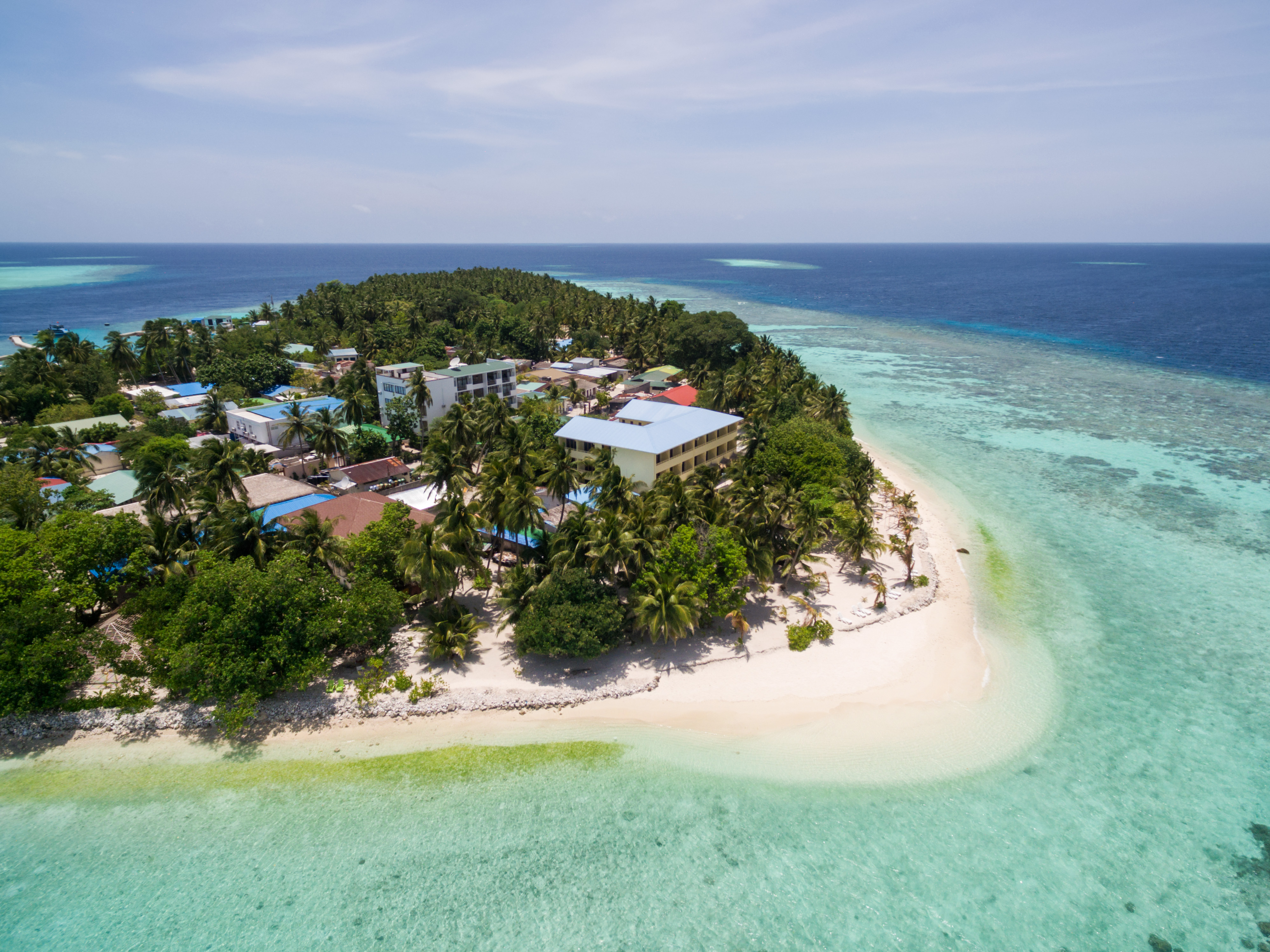 Plumeria Maldives