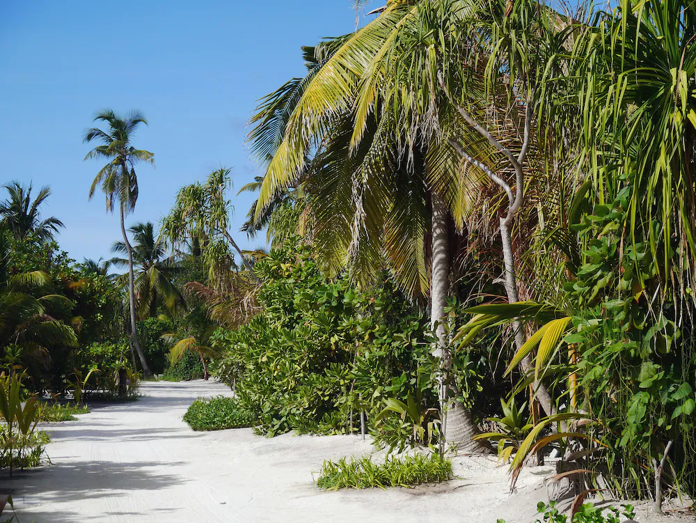 The Residence Maldives at Falhumaafushi