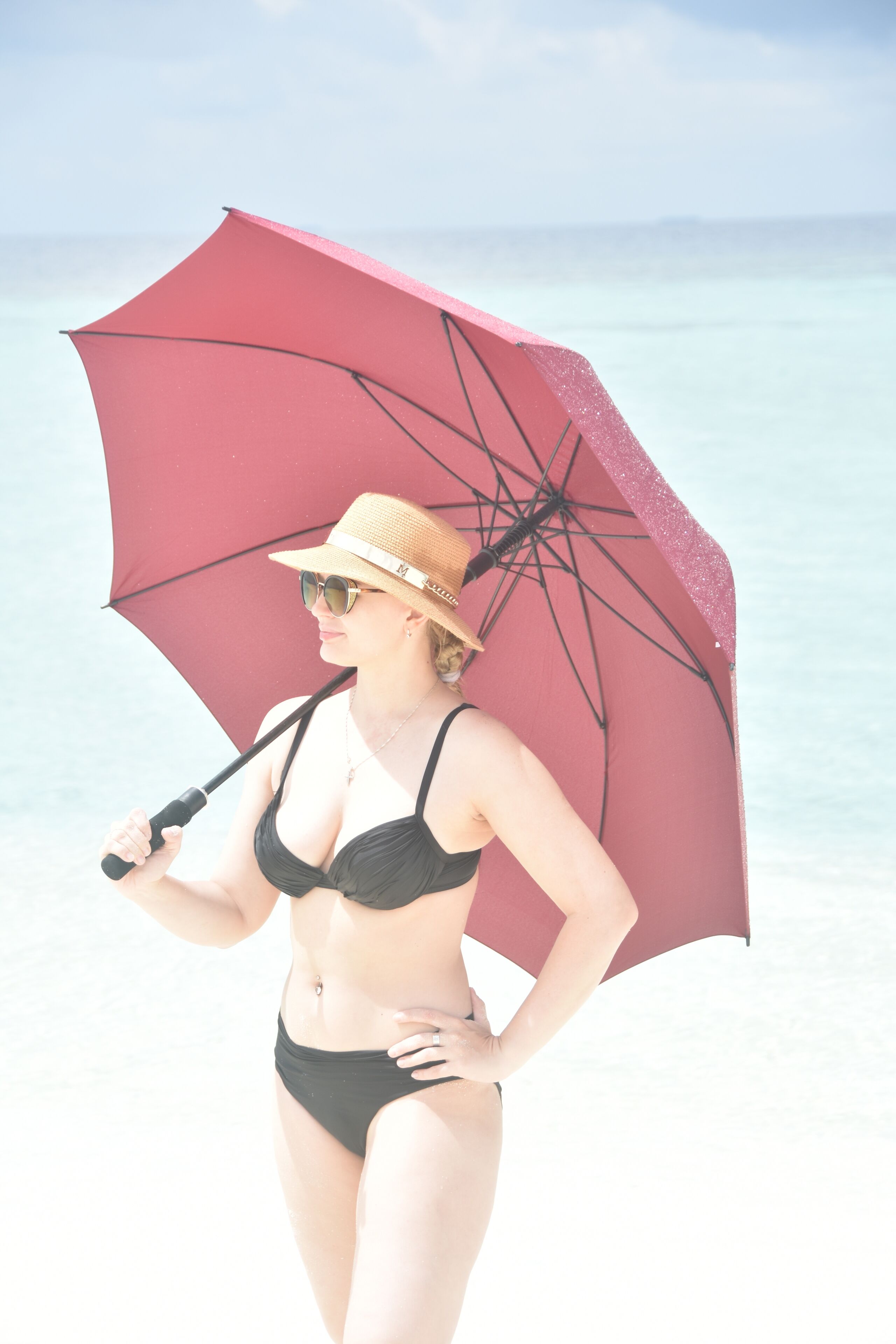 Island Guest