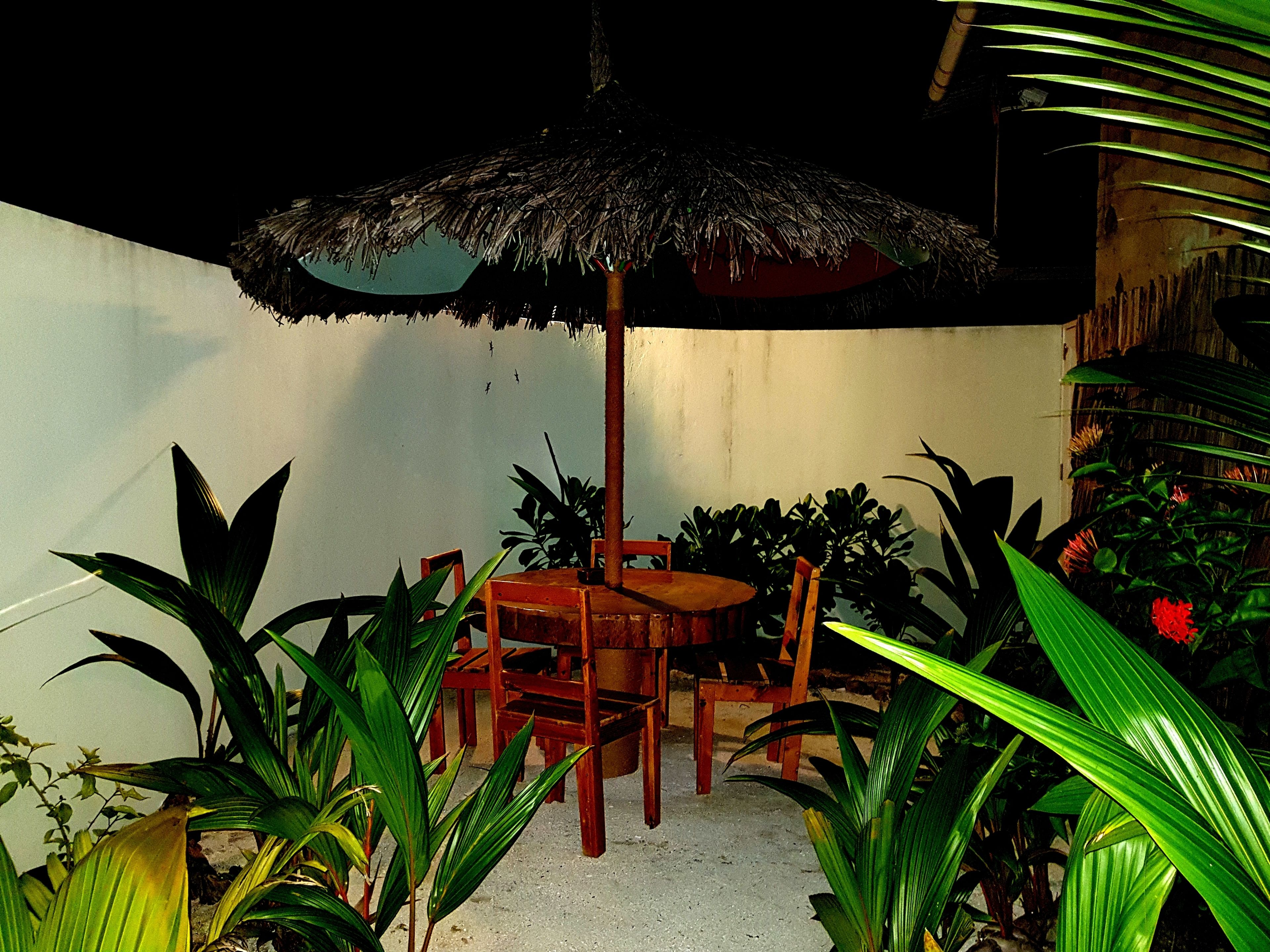 Island Guest