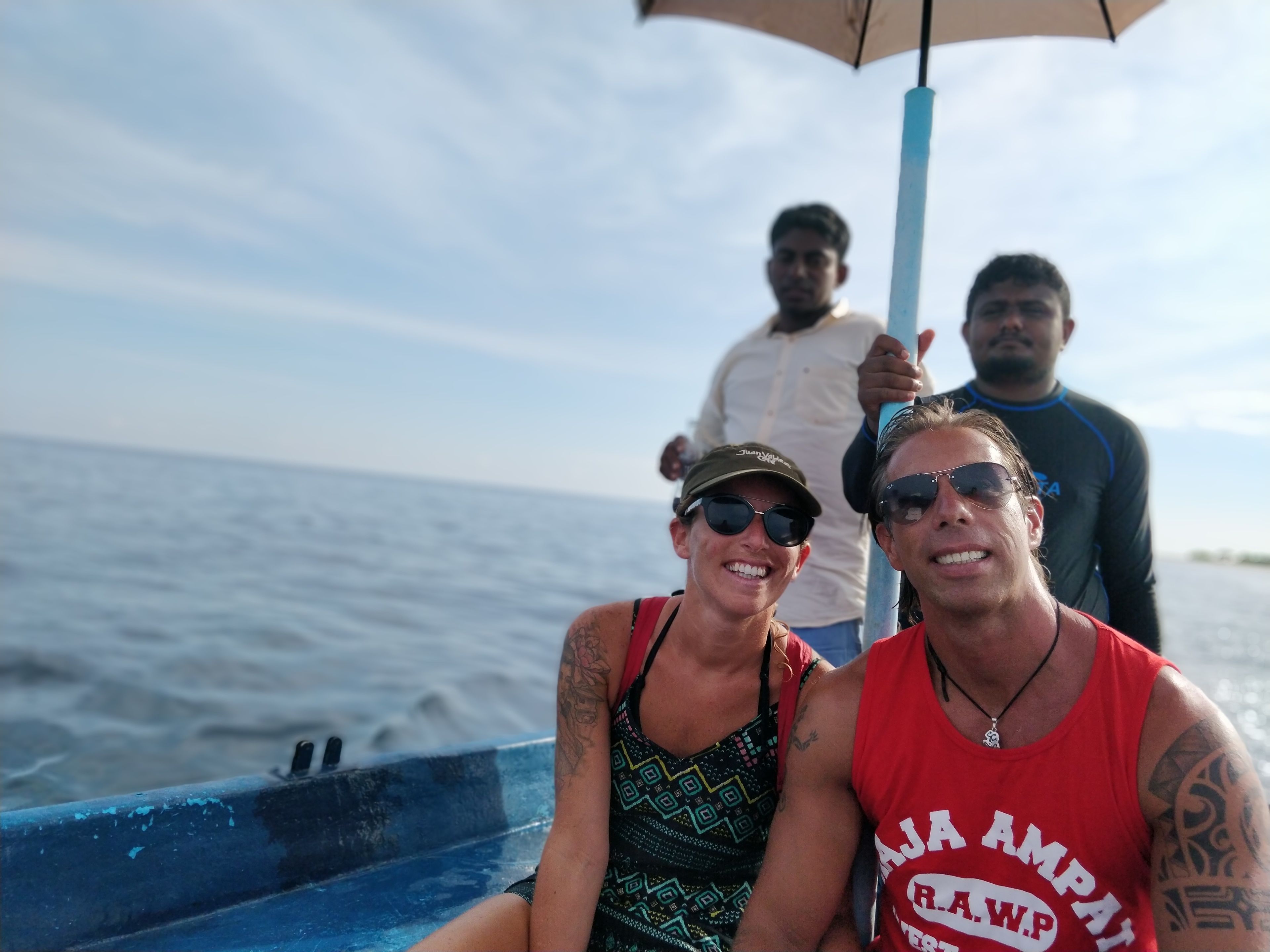 Island Guest