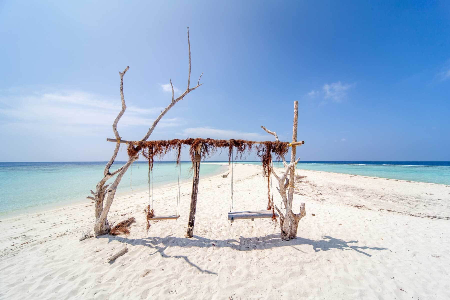 Island Guest