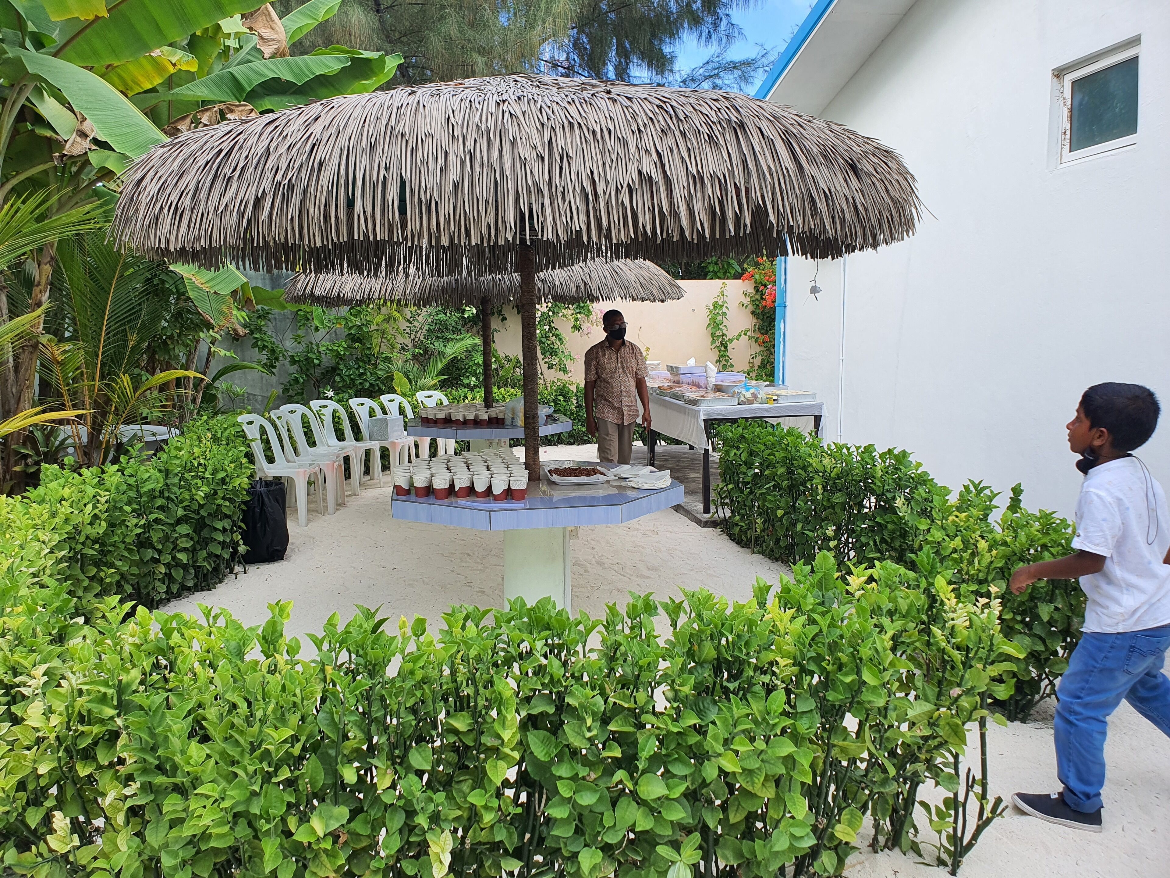Island Guest