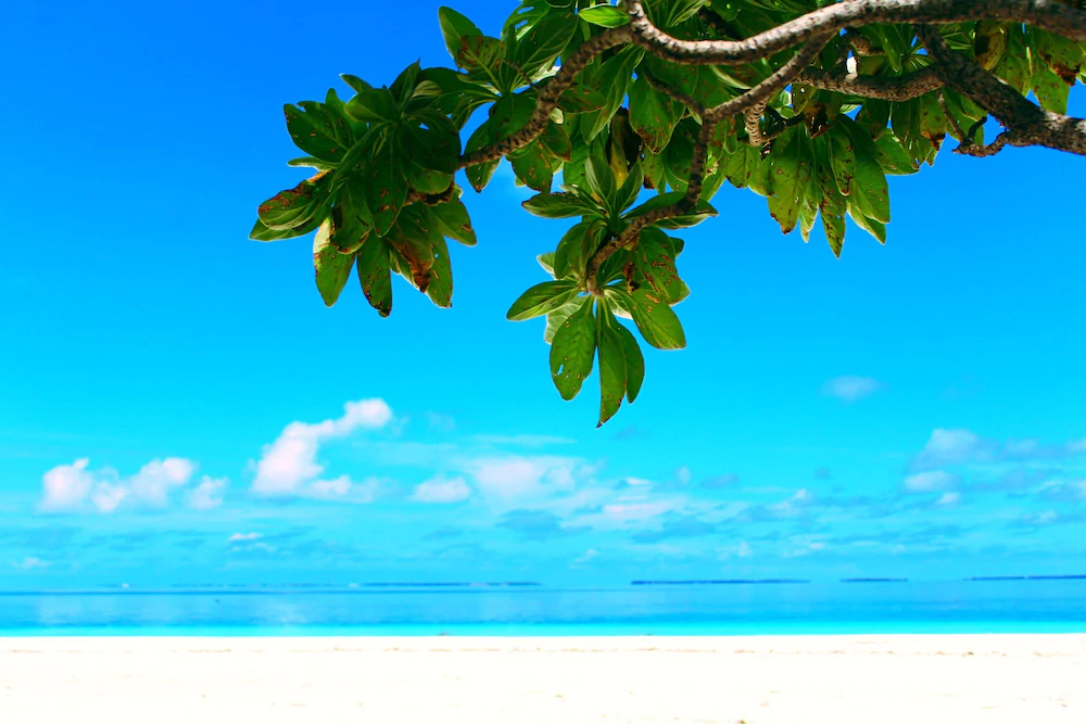 Village Life Maldives