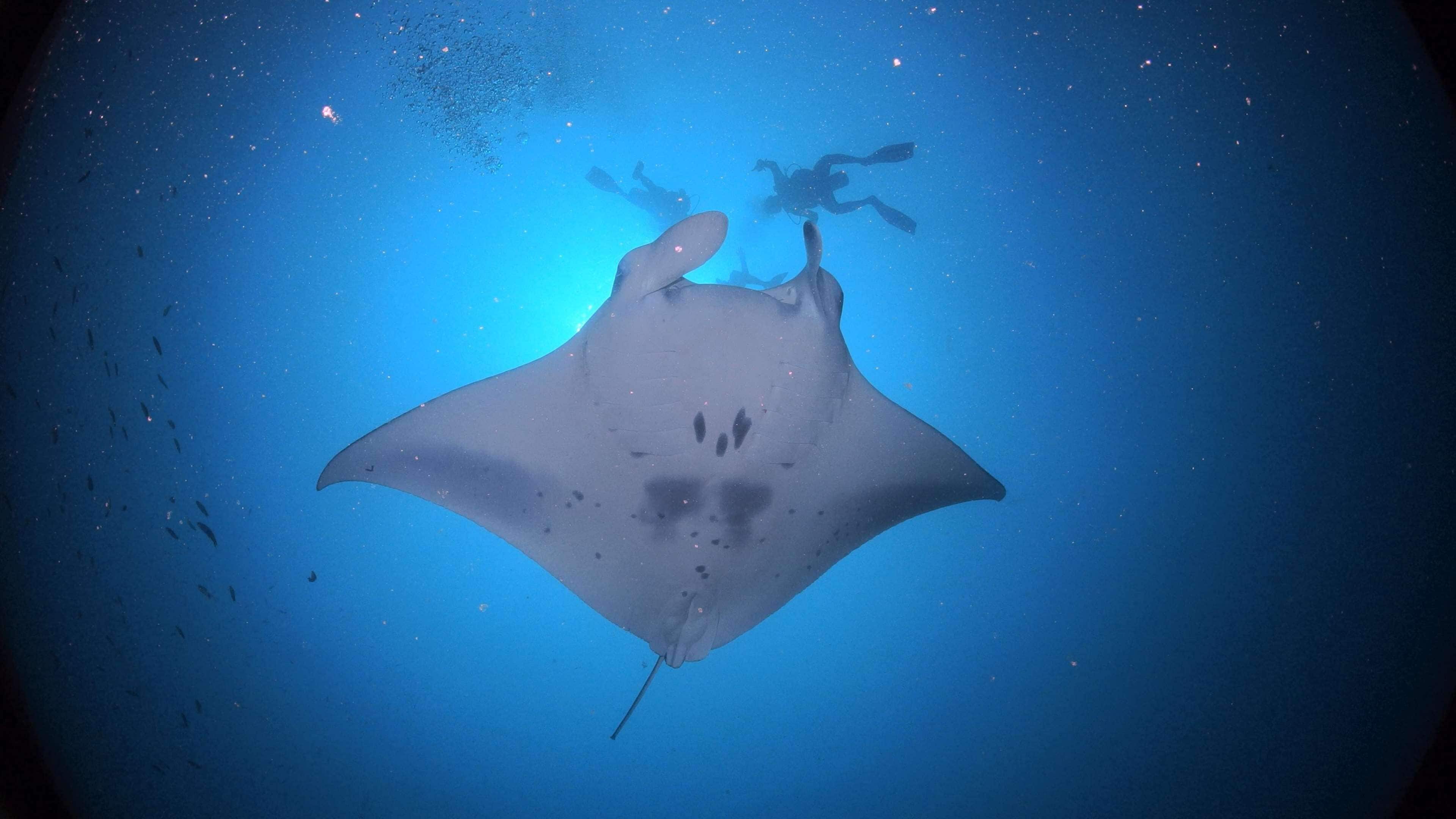 JA Manafaru Maldives