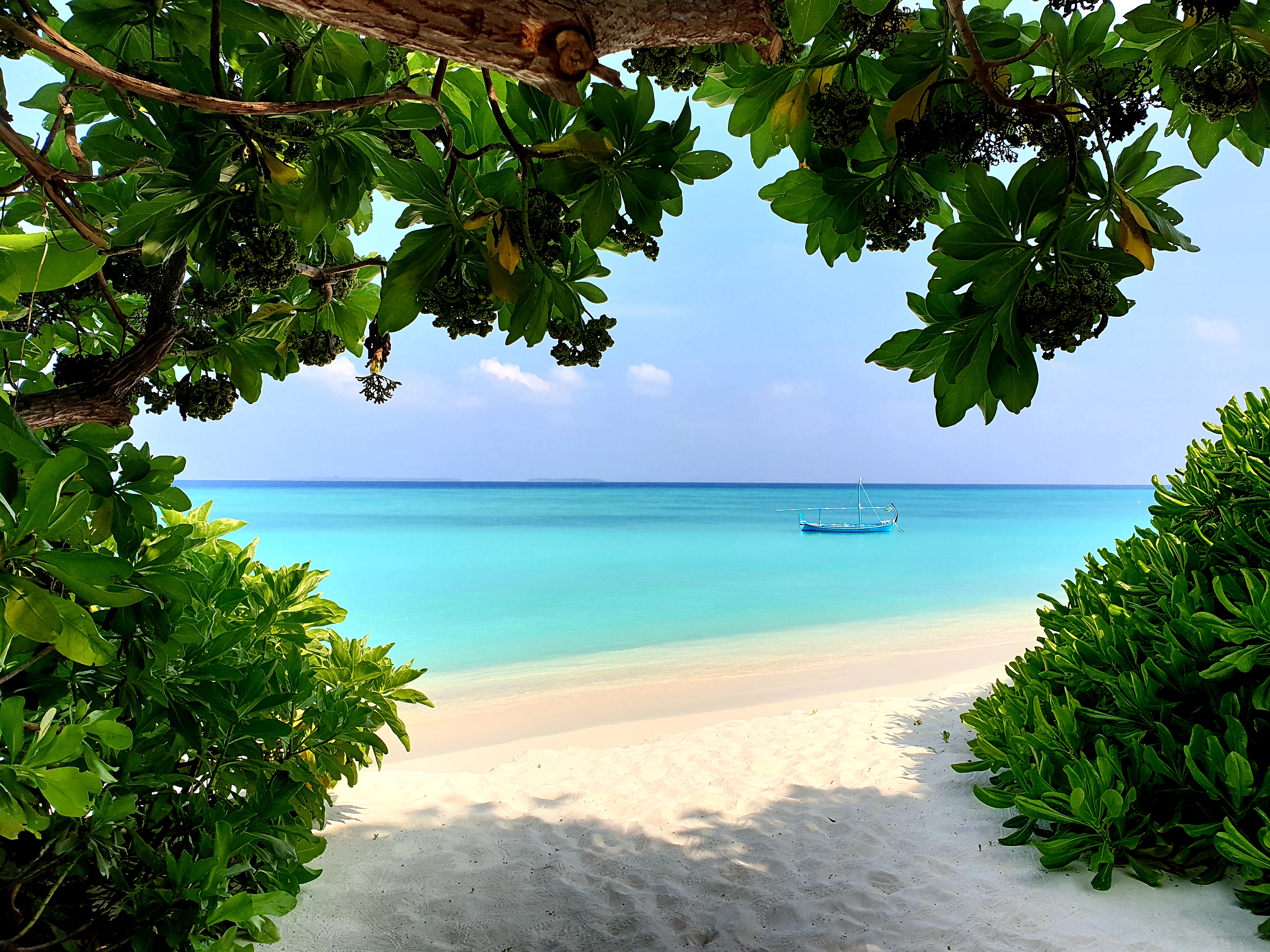 The Barefoot Eco Hotel