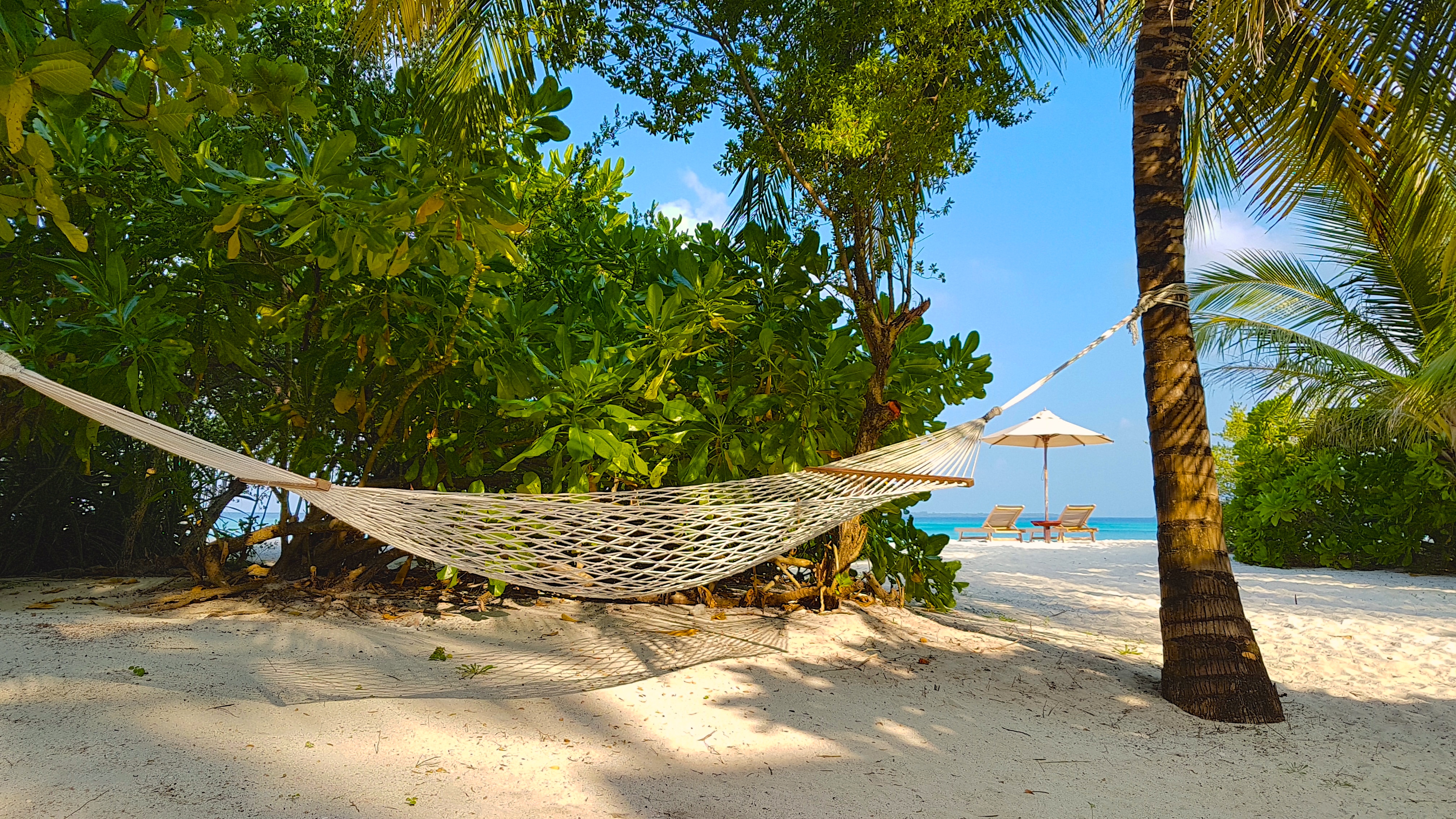 The Barefoot Eco Hotel