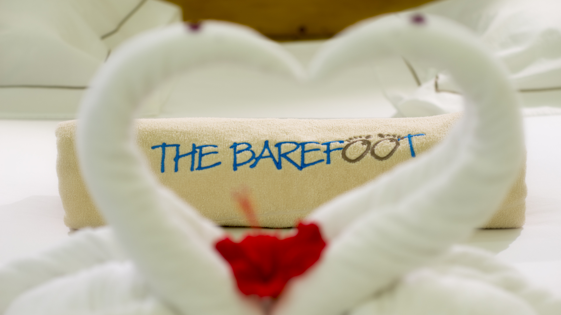 The Barefoot Eco Hotel