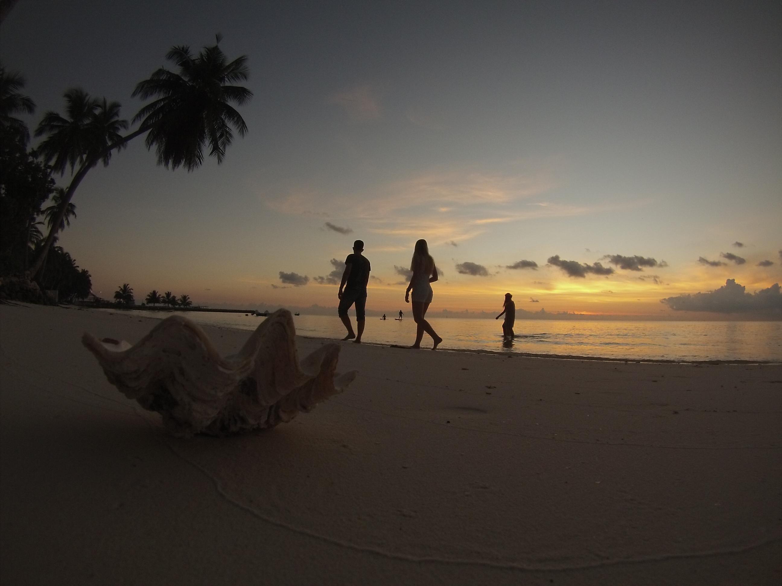 Reveries Diving Village