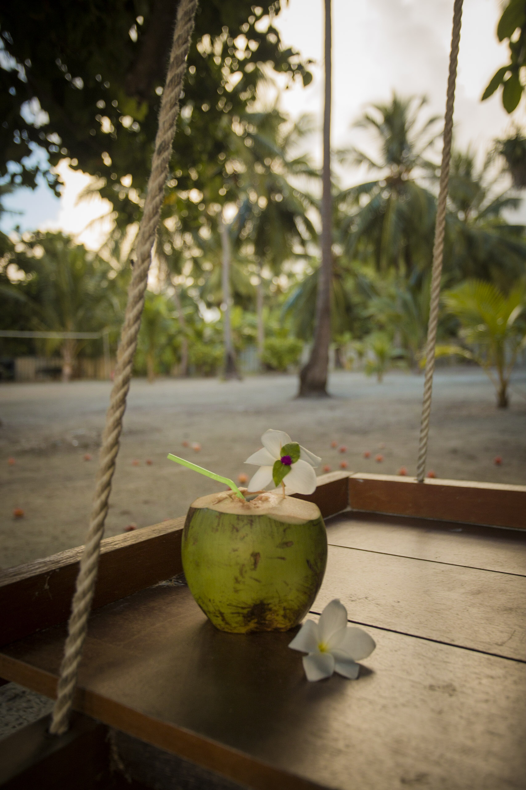 Reveries Diving Village