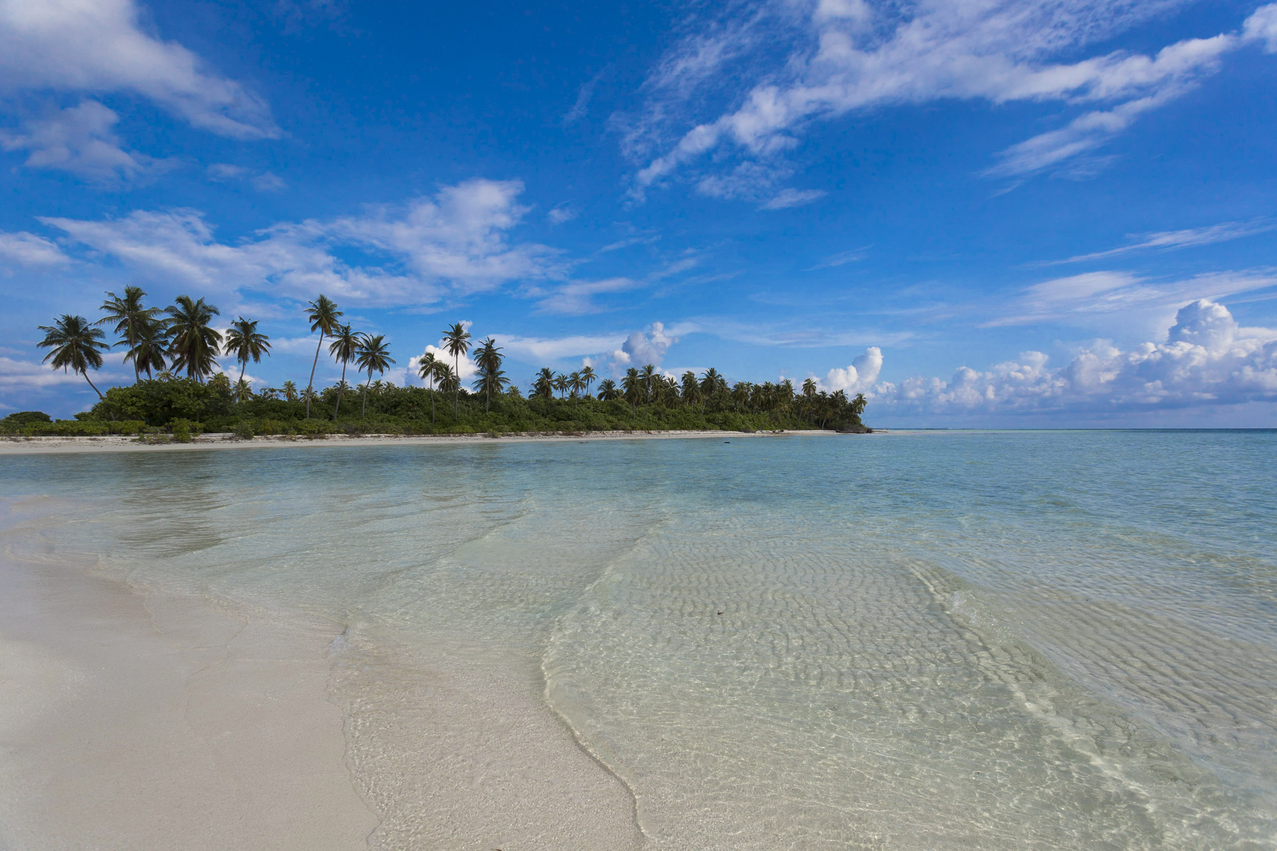Reveries Diving Village