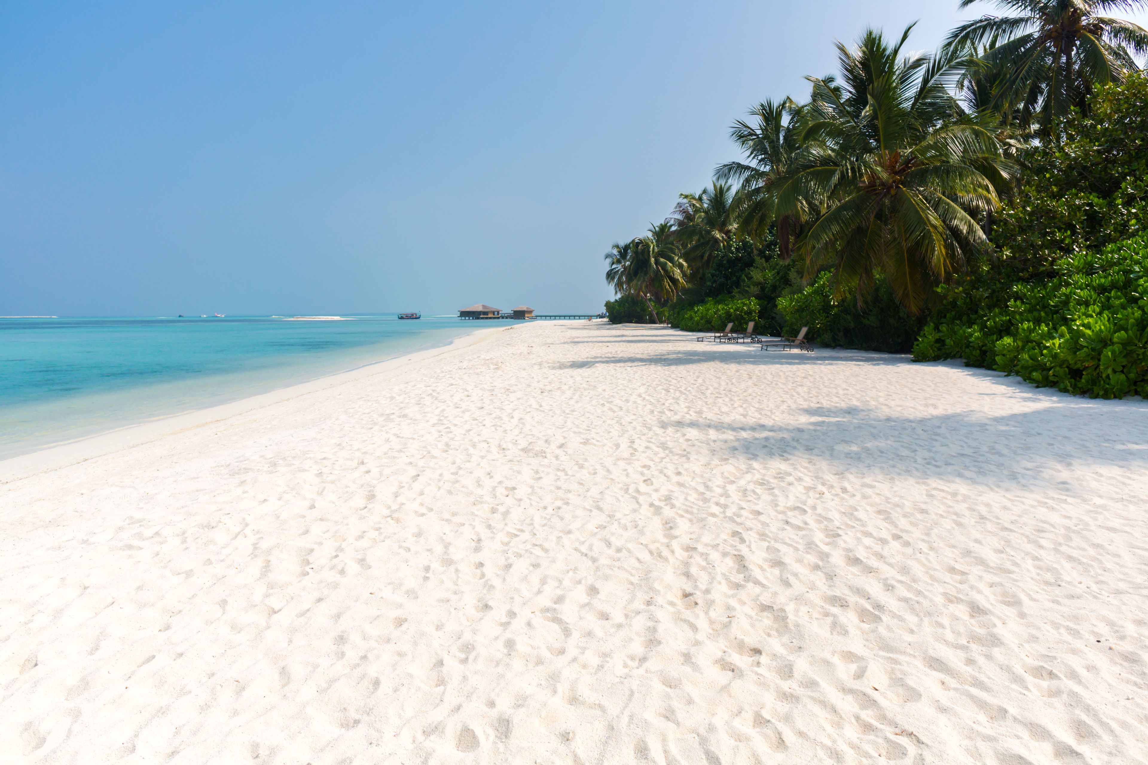 Cocoon Maldives