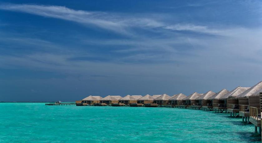 Cocoon Maldives