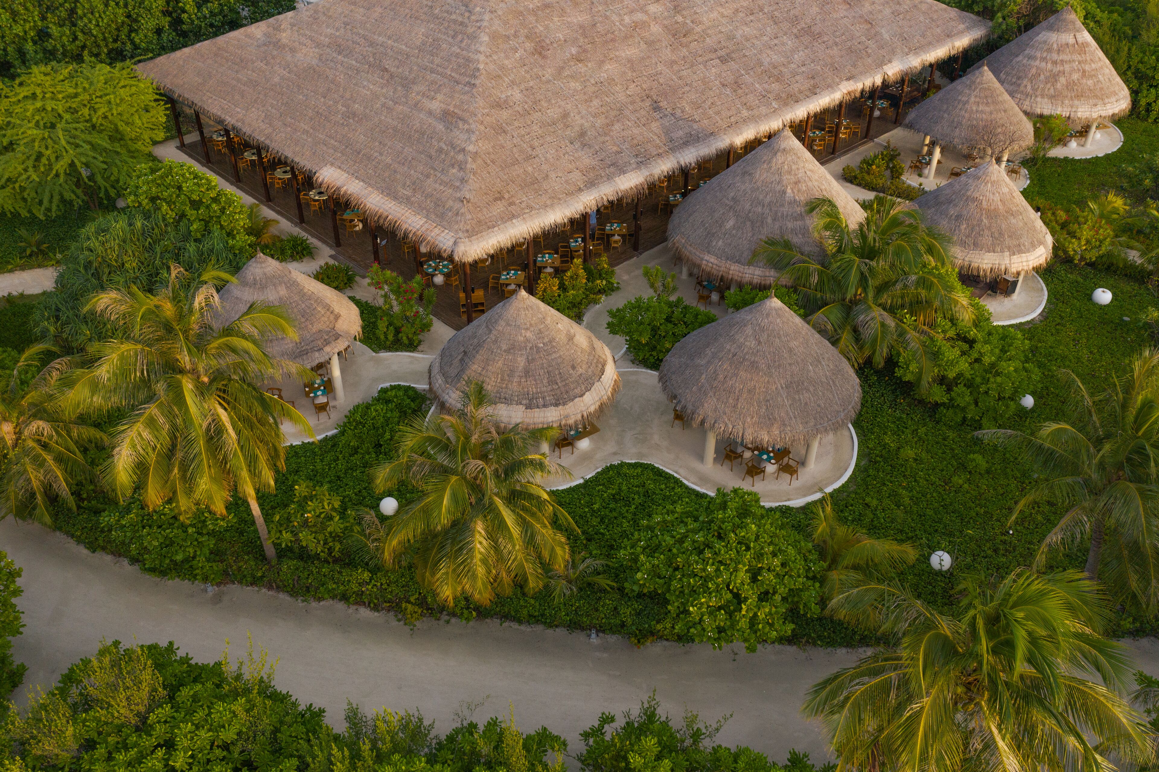 Cocoon Maldives