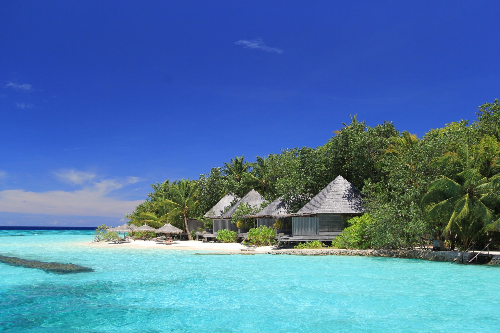 Gangehi Island Resort