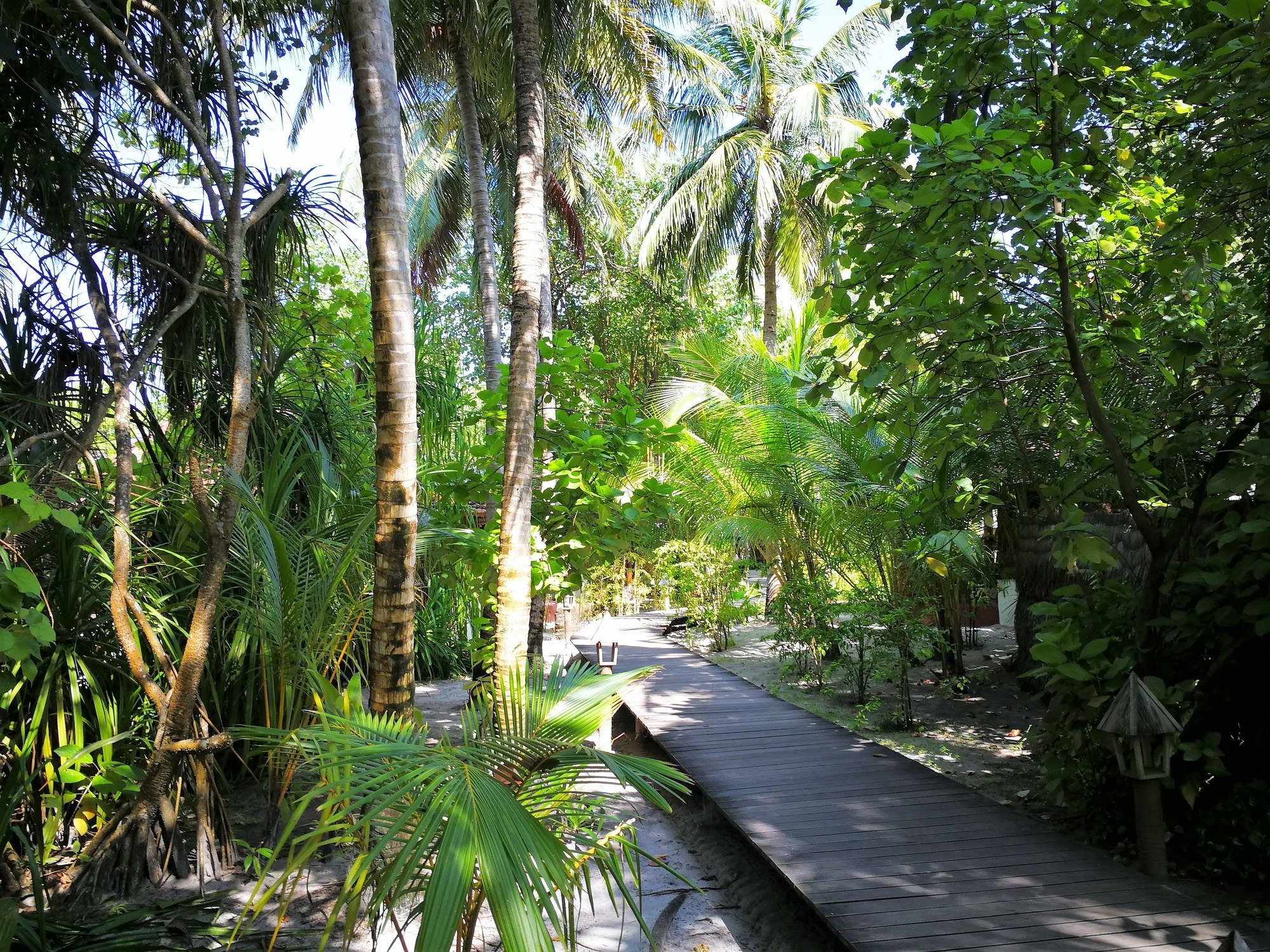 Gangehi Island Resort