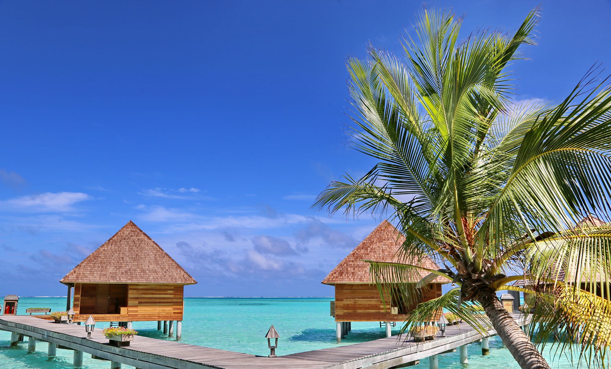 Gangehi Island Resort