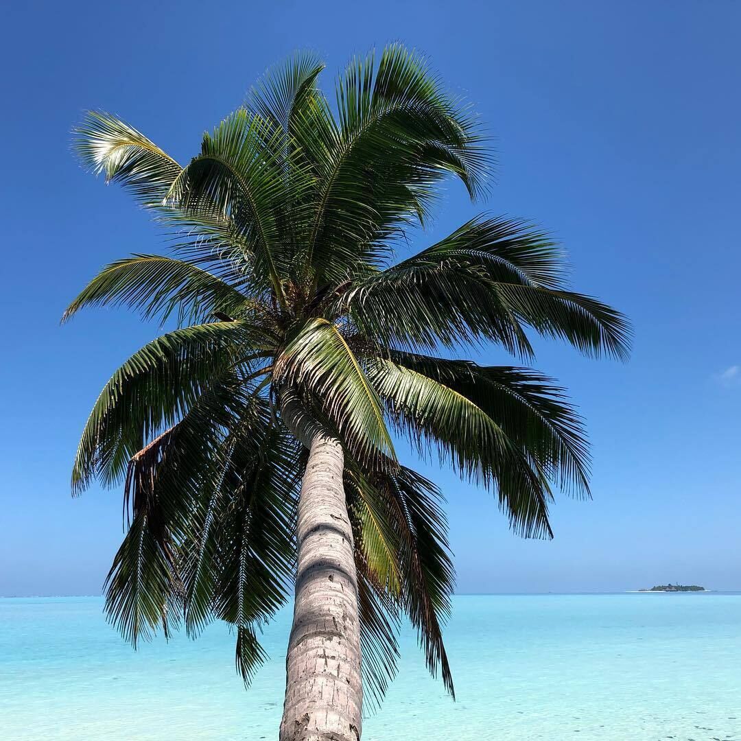 Veli Beach Inn