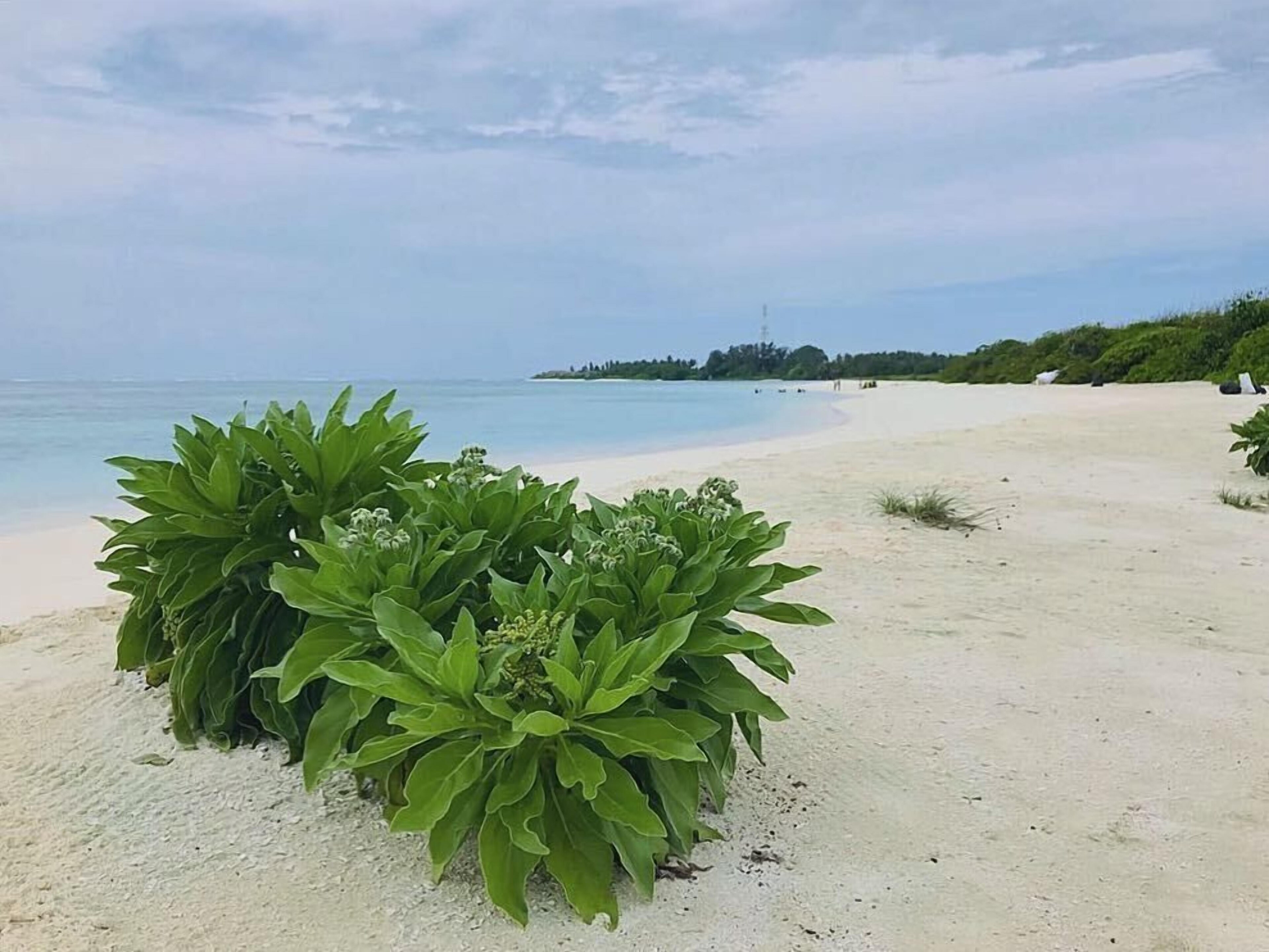 Veli Beach Inn