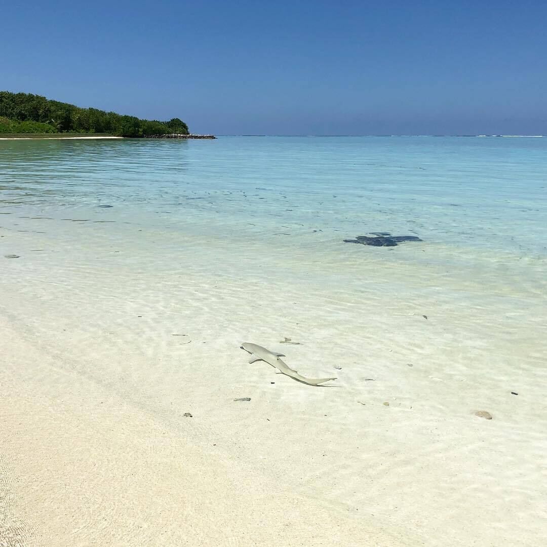 Veli Beach Inn