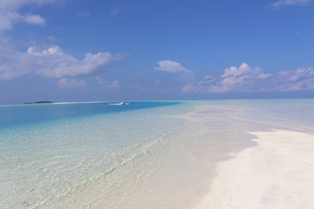 Rasdhoo Wave Blue