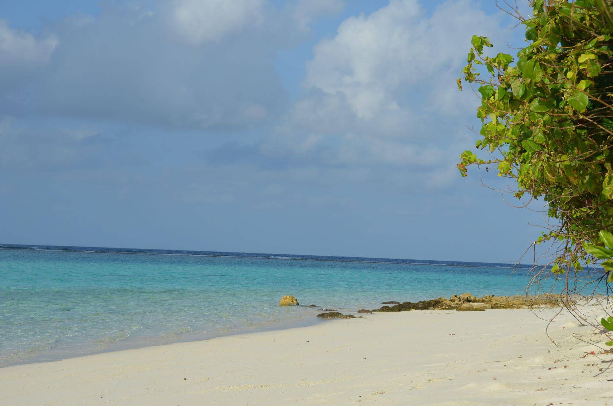 Dive Villa Thoddoo