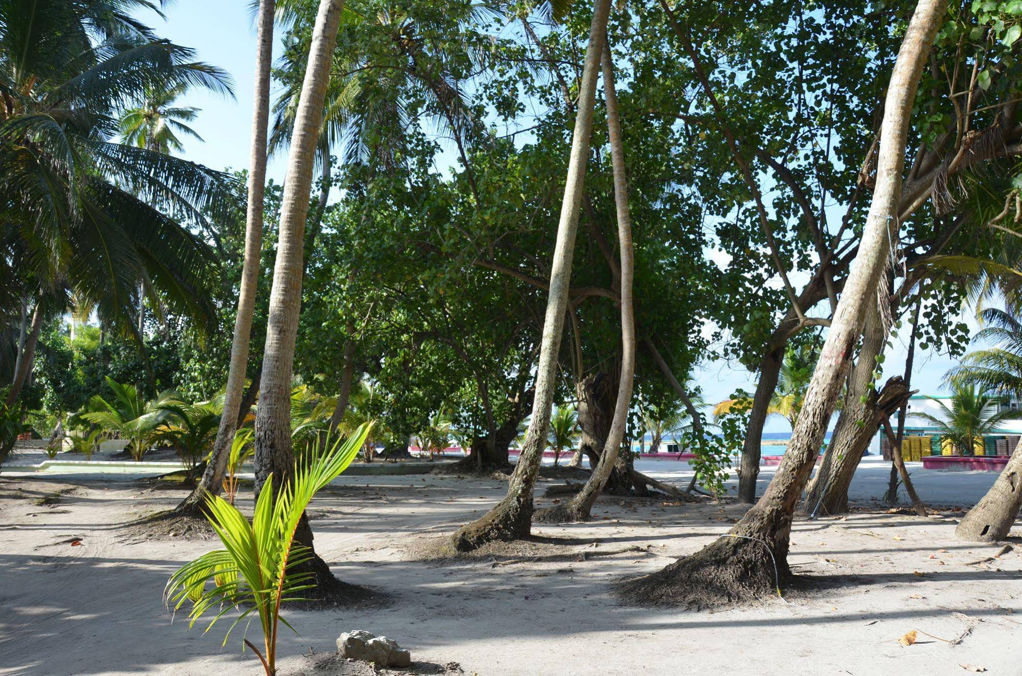 Dive Villa Thoddoo