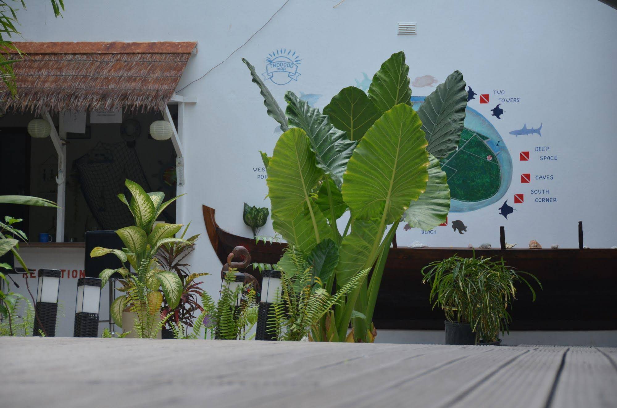 Dive Villa Thoddoo