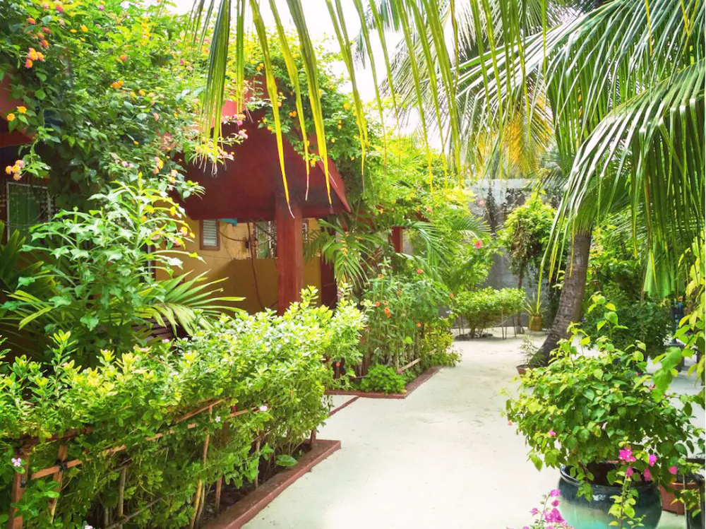 Beach Villa Ukulhas