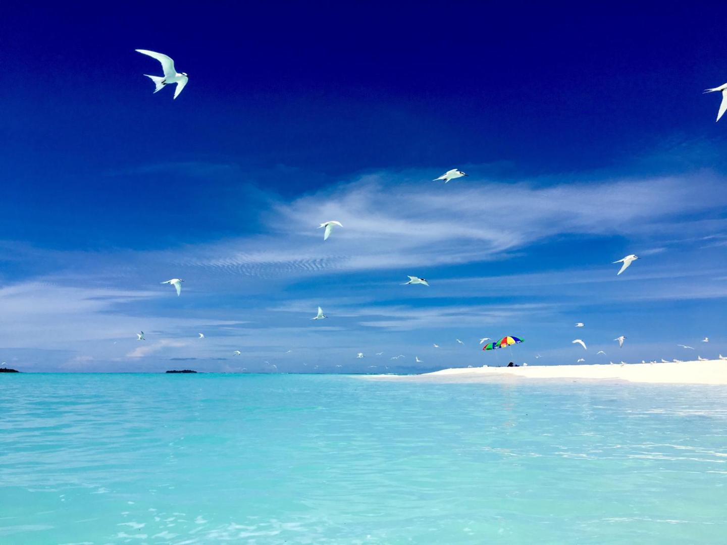 Koimala Beach