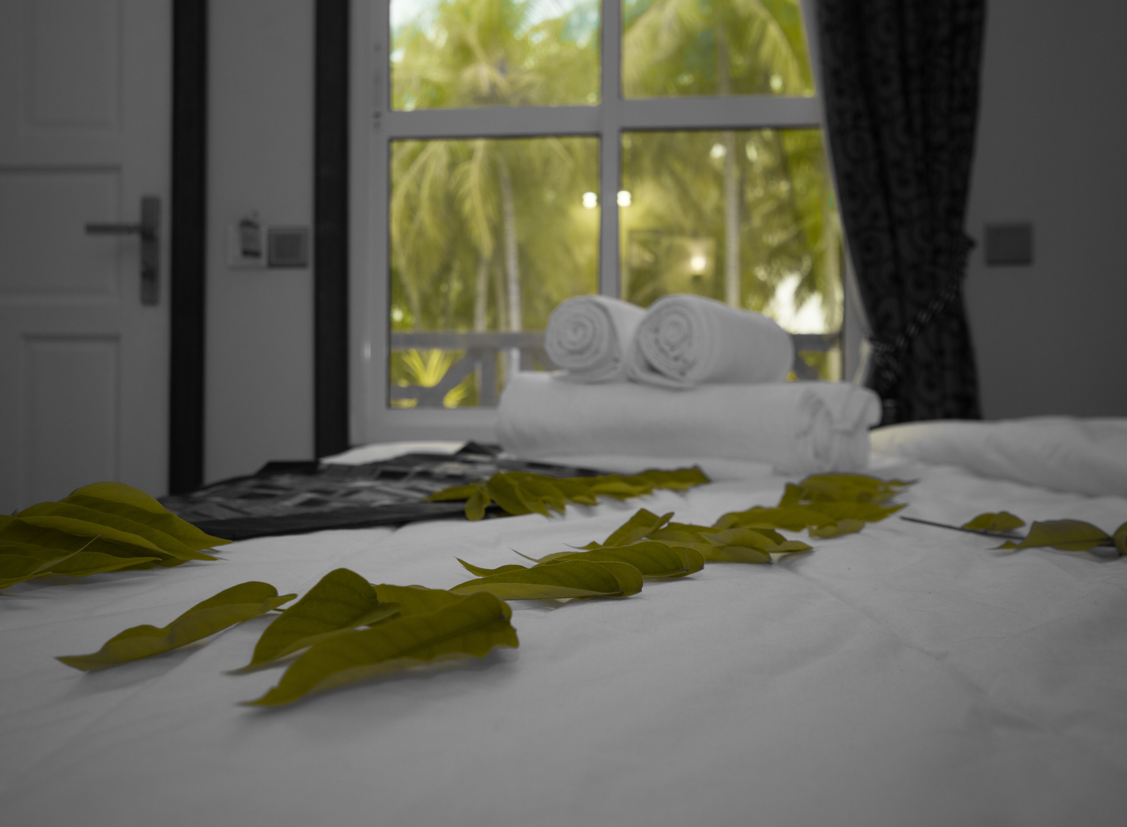 Ostrov Hotel