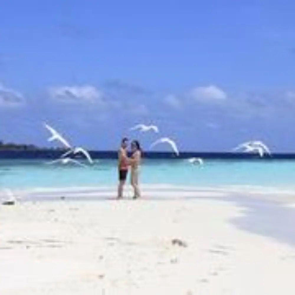 Starry Night At Ukulhas