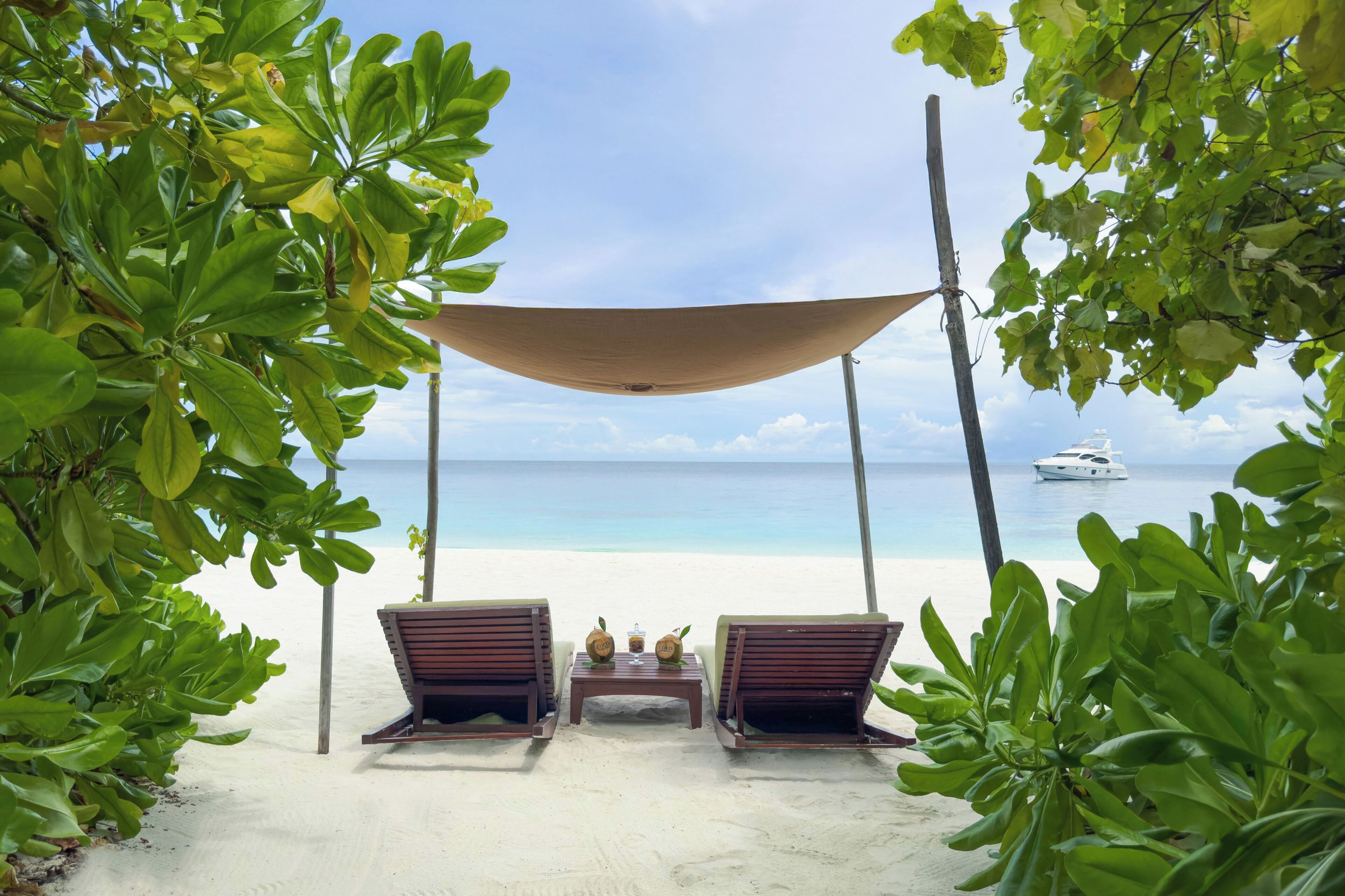 Coco Bodu Hithi