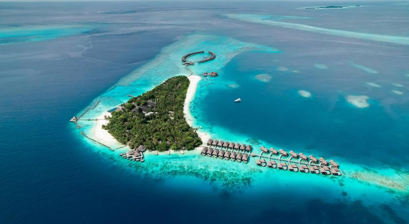 Coco Bodu Hithi